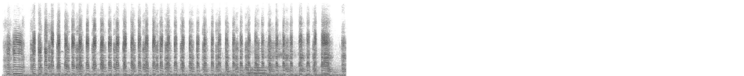 Egyptian Goose - ML643813606