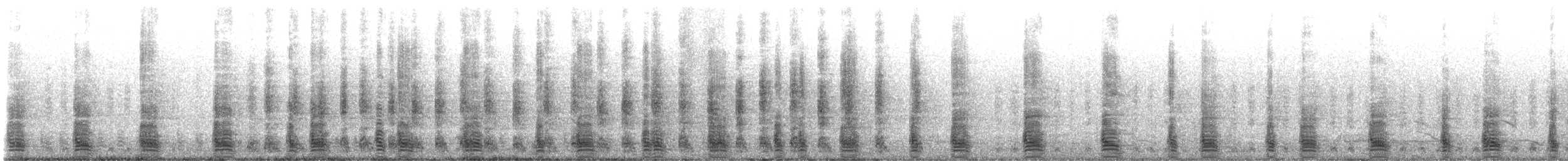 Egyptian Goose - ML643813607