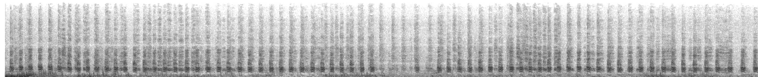 Egyptian Goose - ML643813778