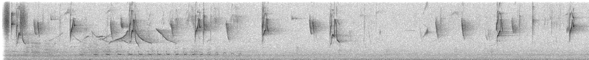 ユンガススズメモドキ - ML643813830
