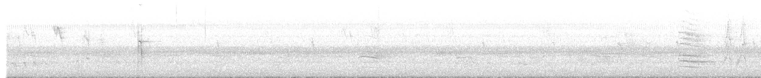 Hairy Woodpecker - ML643814368