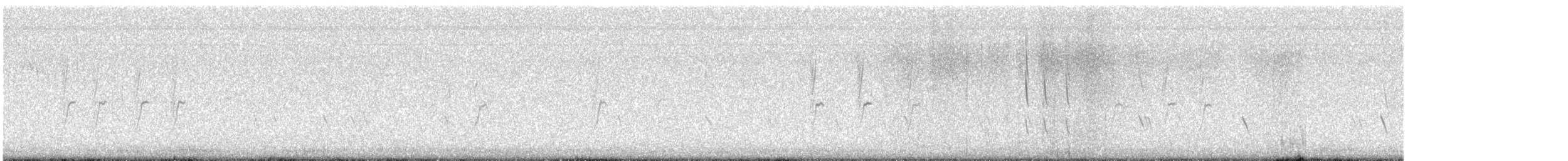 Txoka arrunta - ML643814406