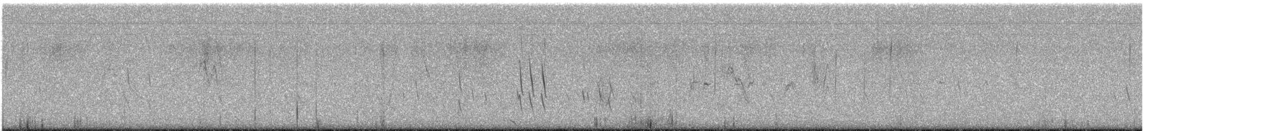 Txoka arrunta - ML643814407