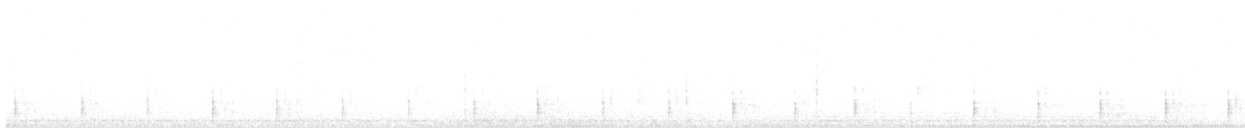 Western Barn Owl - ML643815188