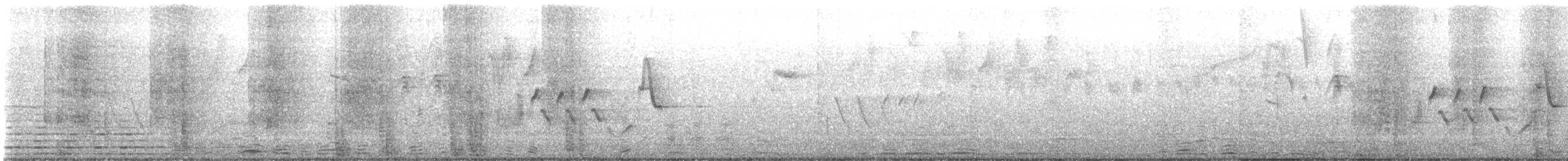 Southern House Wren - ML643816058