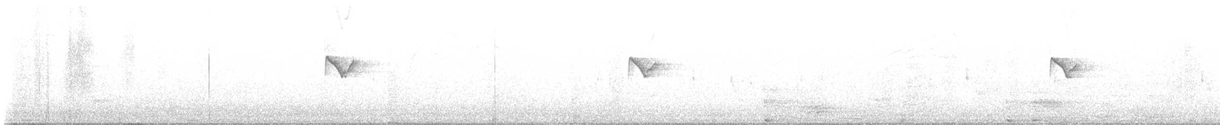 budníček pruhohlavý - ML643816850