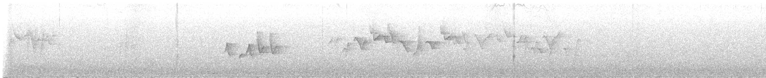 budníček Klossův - ML643816929