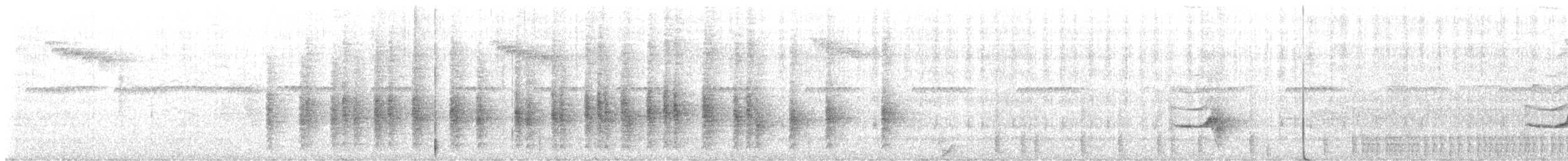 květozob pruhoprsý - ML643817083