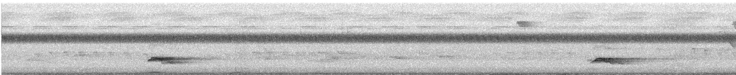 דיה שחורה (מערבית) - ML643817377