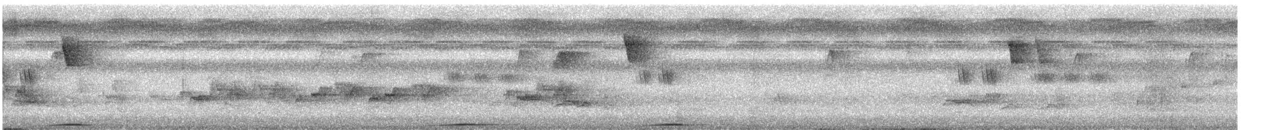 スルターンオナガバト（albicapilla グループ） - ML643817394