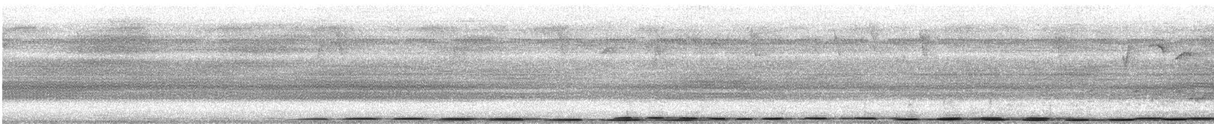 Bay Coucal - ML643817401