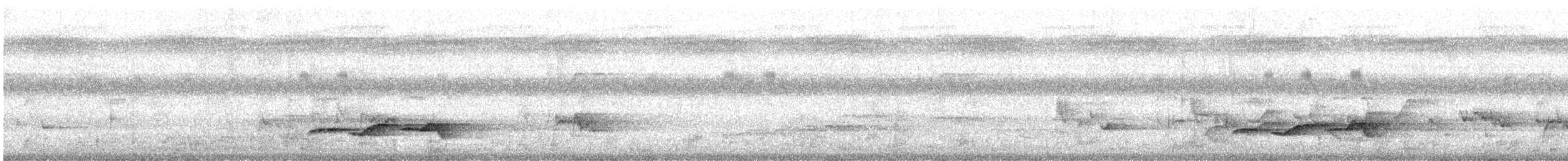 Sulawesi Babbler - ML643818392