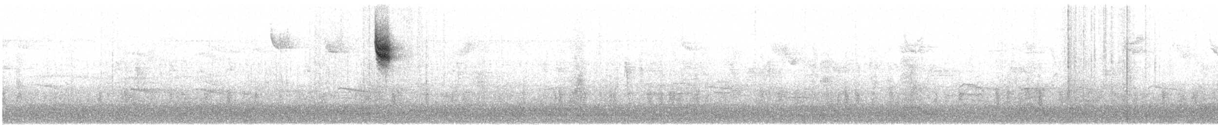 new world sparrow sp. - ML643818780