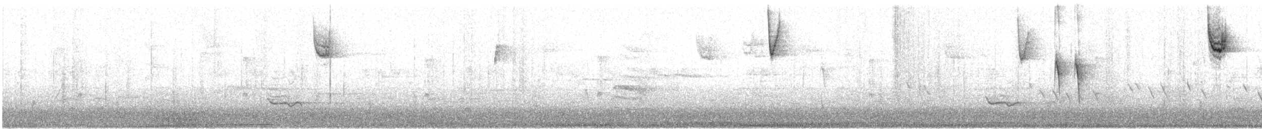 new world sparrow sp. - ML643818781