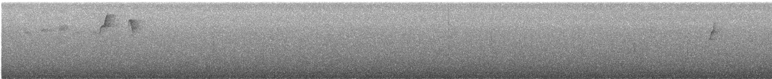 Russet Antshrike - ML643835453