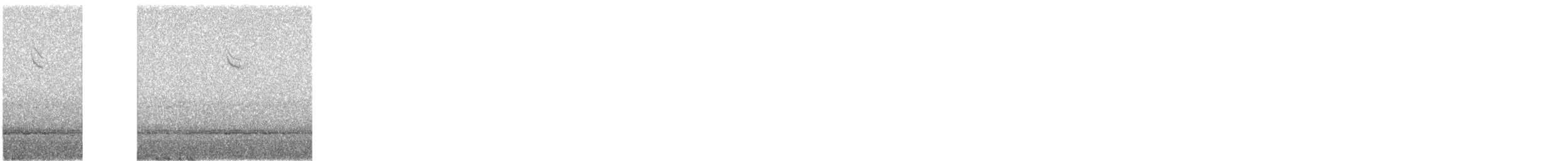 Passerellidae sp. - ML643837230