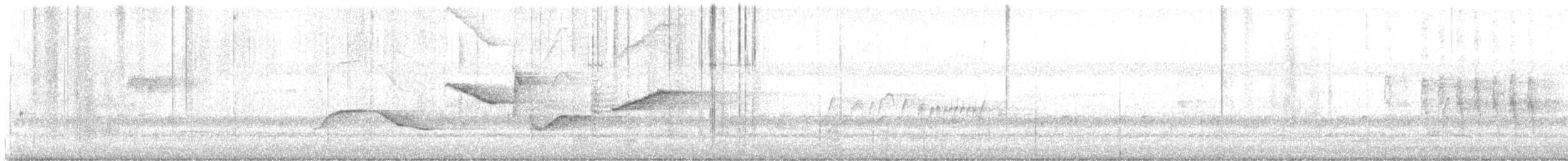 プエルトリコムクドリモドキ - ML643837241