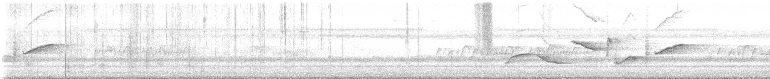 プエルトリコムクドリモドキ - ML643837243