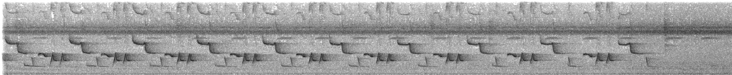 Troglodyte à calotte noire - ML643838130