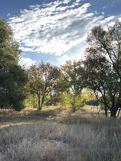 Clear Spring Ranch, El Paso, Colorado, United States - eBird Hotspot