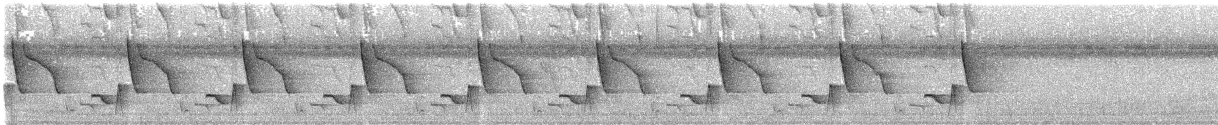 Troglodyte à calotte noire - ML643840087