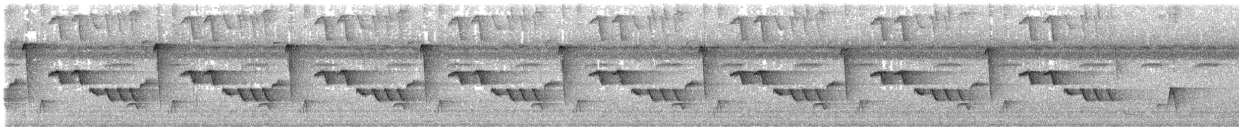 Troglodyte à calotte noire - ML643840363
