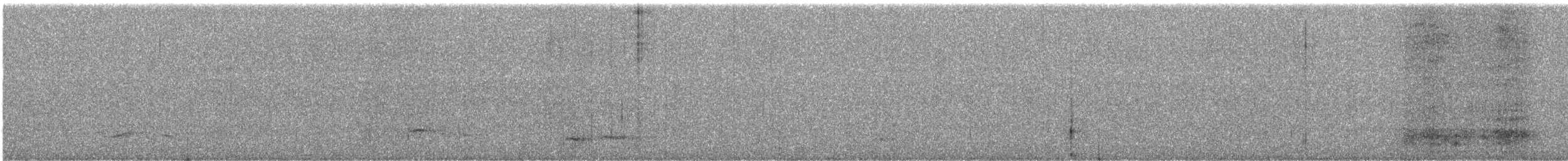 Canada Jay - ML643840462