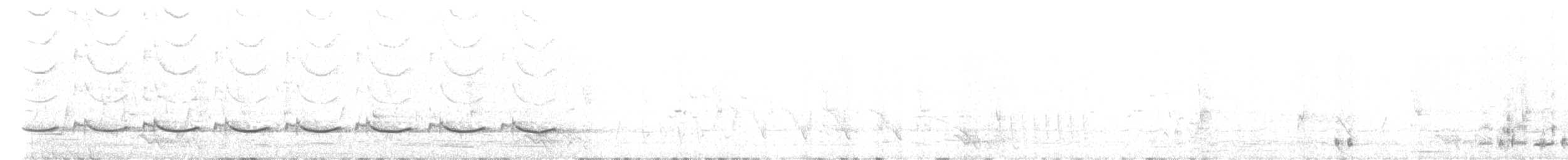 Spiny-cheeked Honeyeater - ML643841544