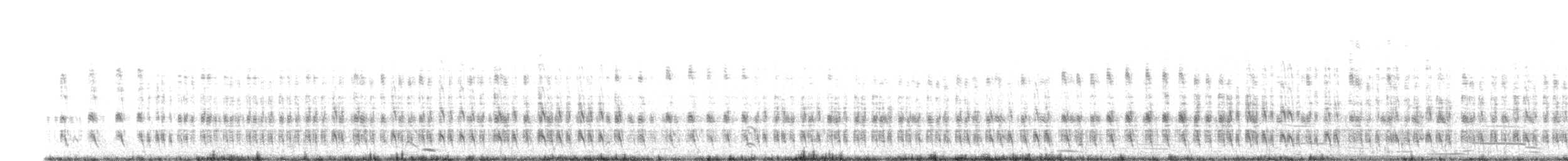 kamenáček pestrý - ML643841601