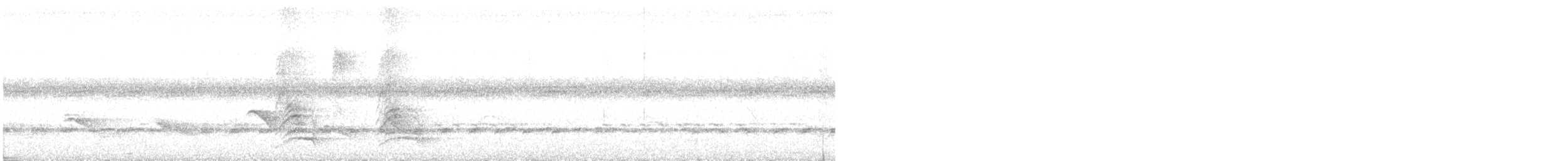 White-necked Thrush - ML643843830