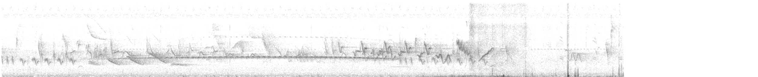 Batara moucheté - ML643843936