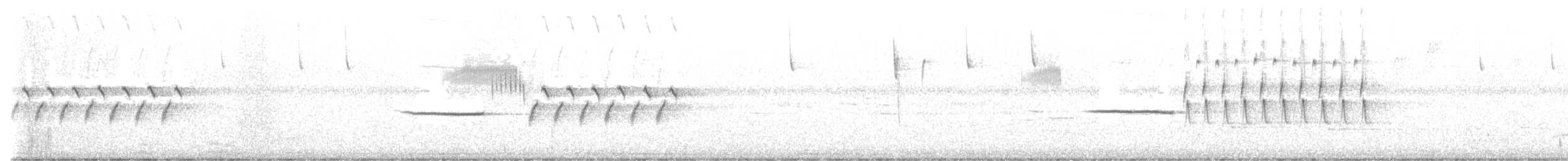 Bachman's Sparrow - ML643845293