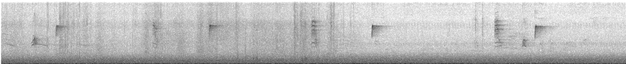 Magnolia Warbler - ML643846967