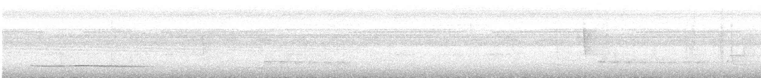 コシギダチョウ - ML643847551