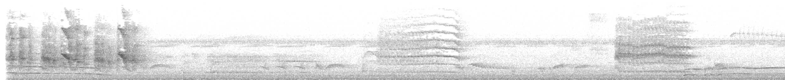 オオハシタイランチョウ - ML643847909