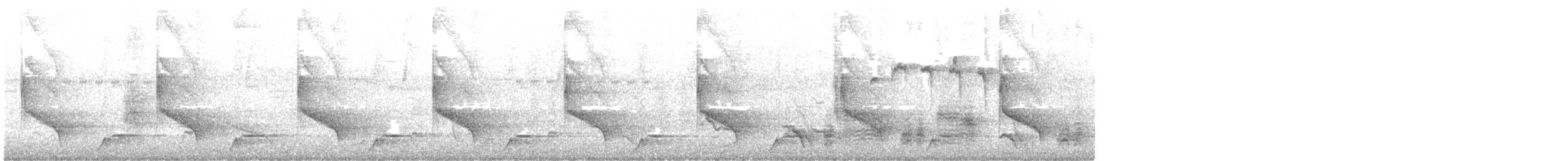 Melodious Blackbird - ML643848025