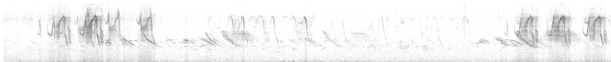 Band-tailed Sierra Finch - ML643848631