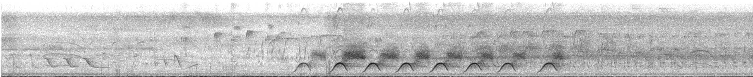 Black-capped Donacobius - ML643851752