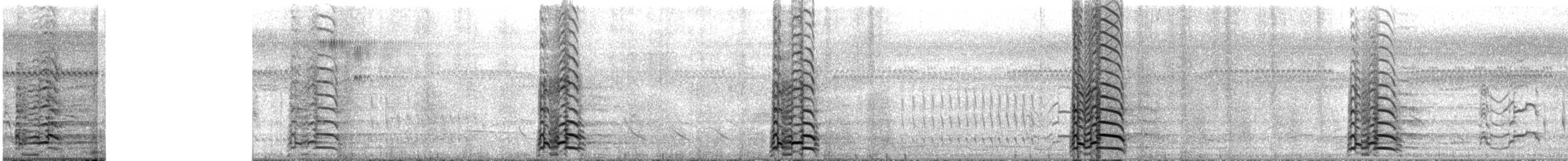 Southern Screamer - ML643852240