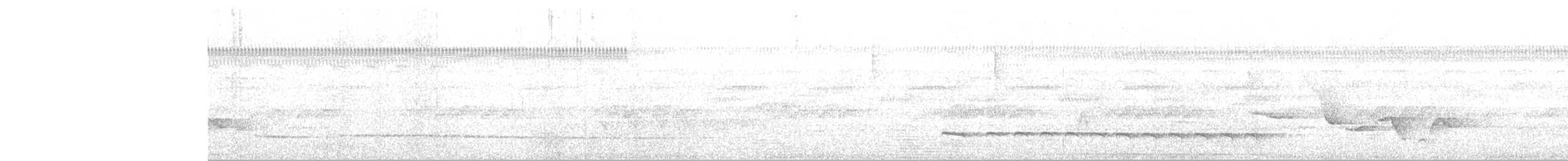 Mayan Antthrush - ML64385461
