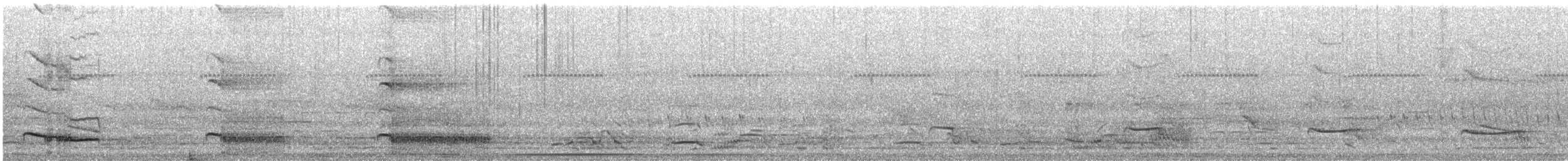 Guira Cuckoo - ML643855886