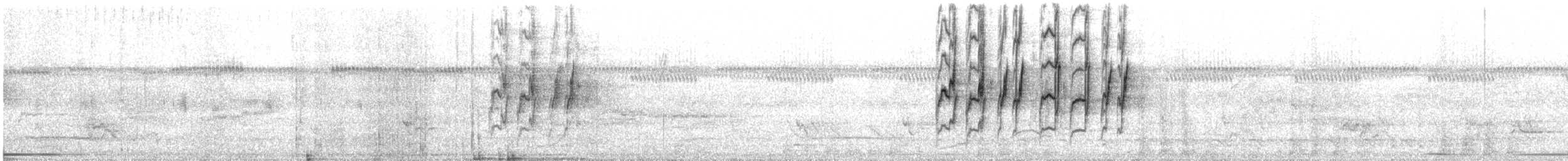 Cobalt-rumped Parrotlet - ML643855968