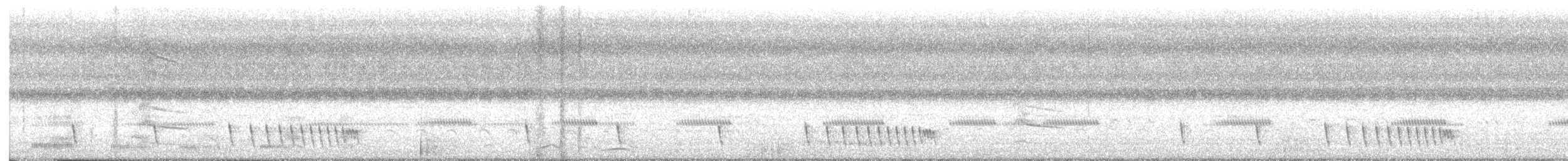 Hint Çobanaldatanı - ML643856690