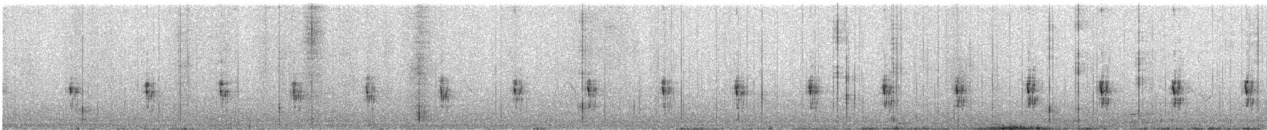 Jalca Tapaculo - ML643857277