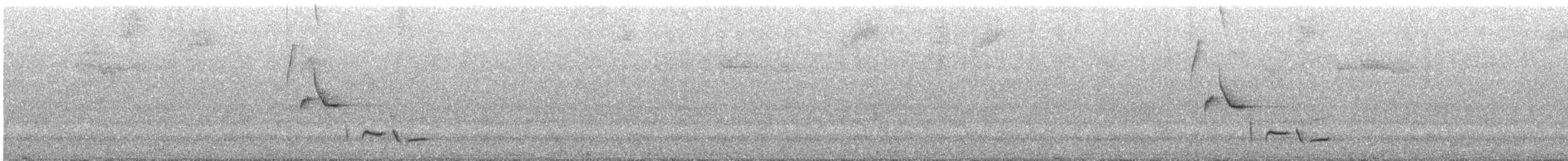 ハイムネモリミソサザイ（brunneiceps） - ML643859547