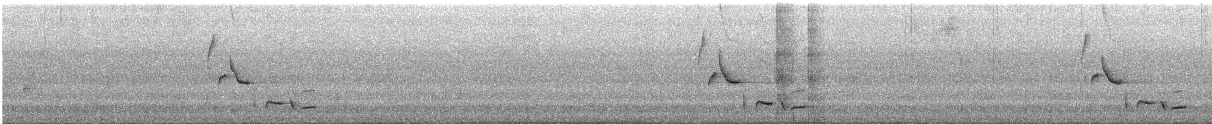 ハイムネモリミソサザイ（brunneiceps） - ML643859557
