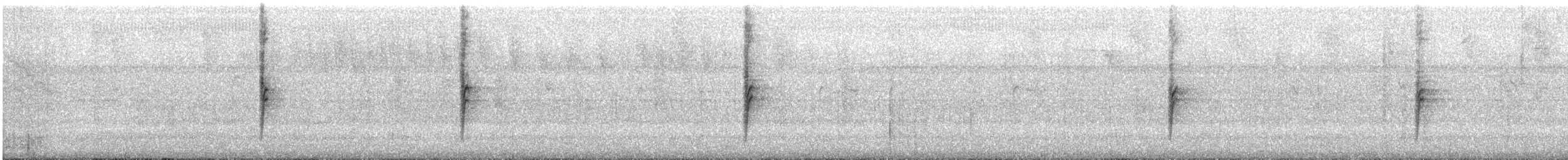 Tangara à bec d'argent - ML643861435