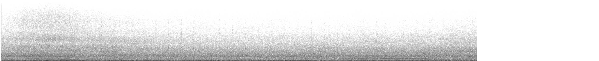 American Barn Owl (American) - ML643861666