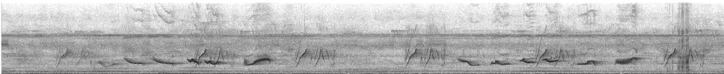 Fahlbrustdrossel - ML643861676