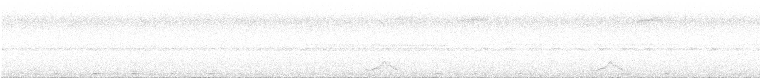 Common Pauraque - ML643861819